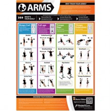 Anatomical Chart - Arms