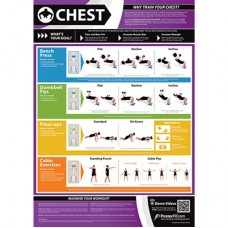 Anatomical Chart - Chest