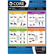 Anatomical Chart - Core