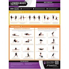 Lower Body Stretching Chart