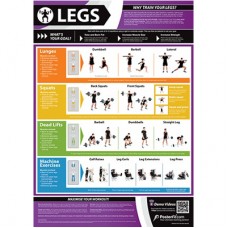 Anatomical Chart - Legs