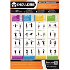 Anatomical Chart - Shoulders