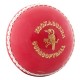 Kookaburra Supersofta Cricket Ball Senior