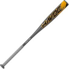 Easton Baseball Bat 31"