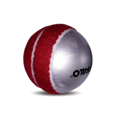 Modified Swing Cricket Ball 