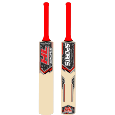 Kashmir Willow Cricket Bat Harrow