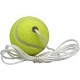 Spin Tennis Ball