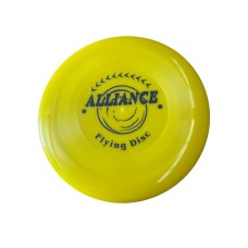 Regular Frisbee 24cm Flying Disc