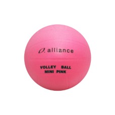 Mini Fluro Volleyball 8"